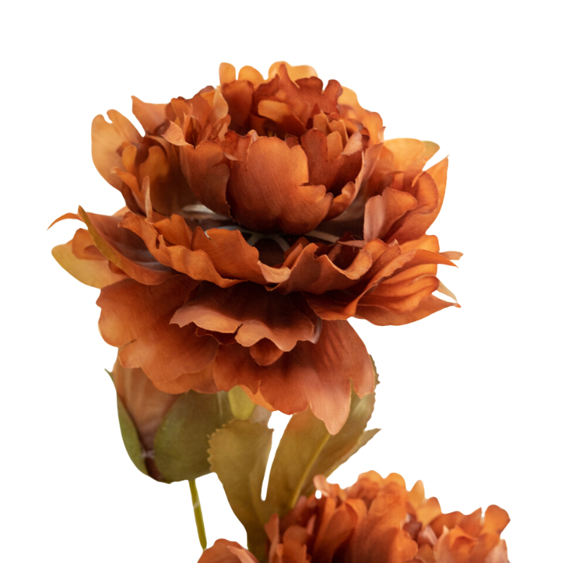Cành Hoa Mẫu Đơn Giả 2 Bông 1 Nụ Nhiều Màu Lụa La Floresta.png