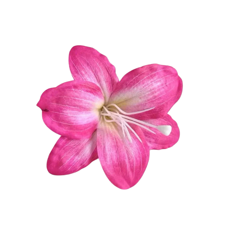 _ELLE Affiliate - 2026-01-16T210525.377.png