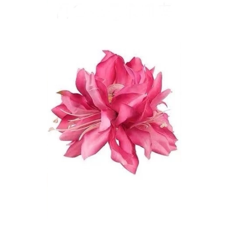 _ELLE Affiliate - 2026-01-16T210645.840.png