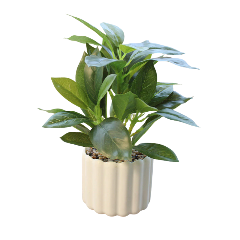 ELLE Affiliate (29).png