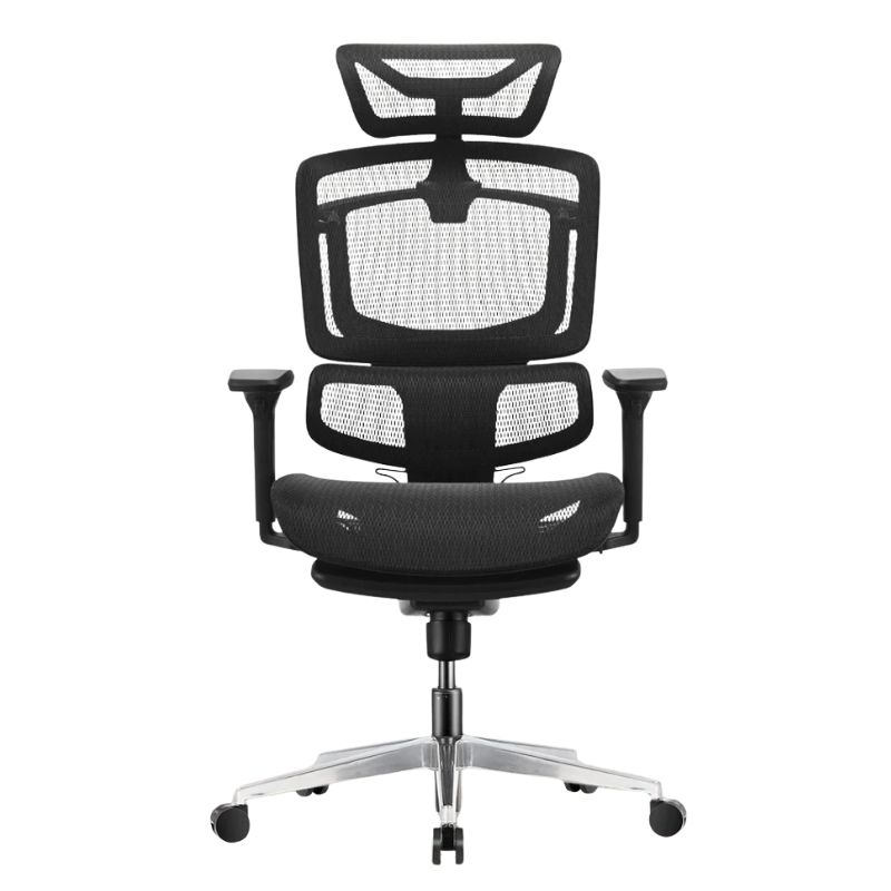 ELLE aff - 2025-07-17T133649.959.png