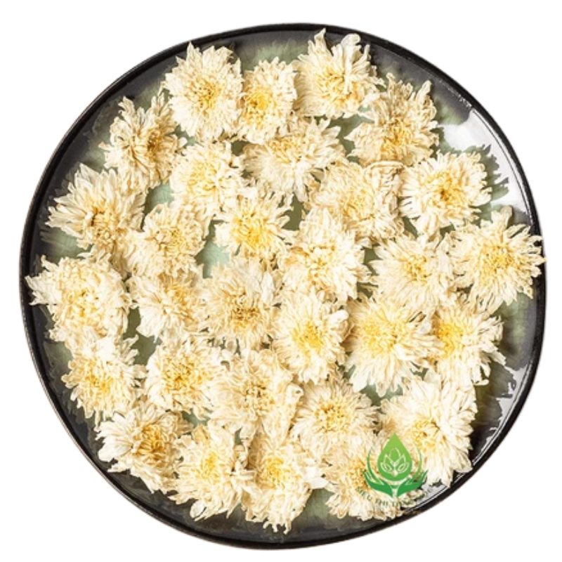 ELLE aff (31).png