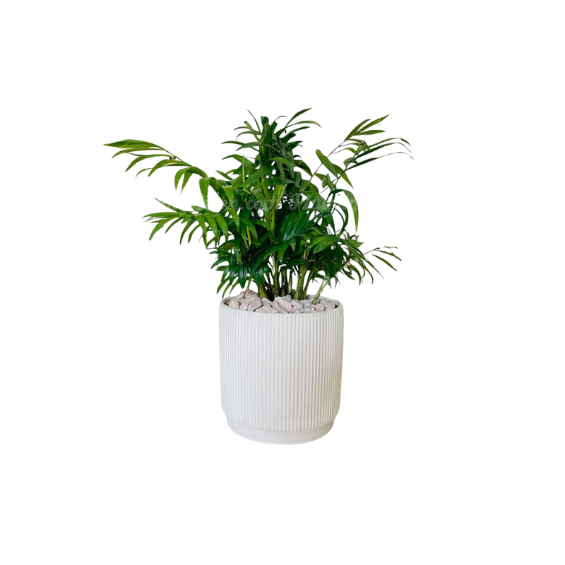 Kệ Thanh Ngang Treo - 2025-11-22T233752.071.png