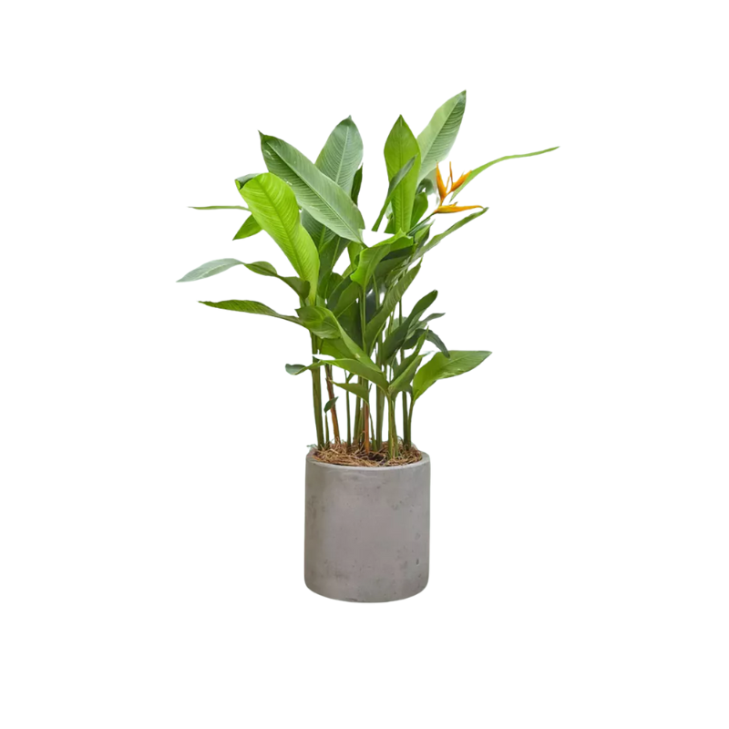 Kệ Thanh Ngang Treo - 2025-11-22T234442.949.png