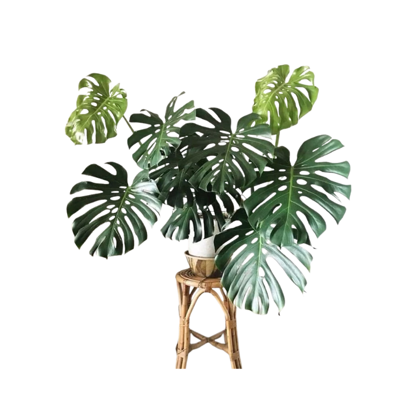 Kệ Thanh Ngang Treo - 2025-11-24T130110.517.png