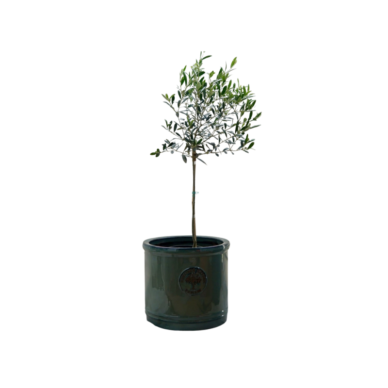 Kệ Thanh Ngang Treo - 2025-11-24T131920.379.png