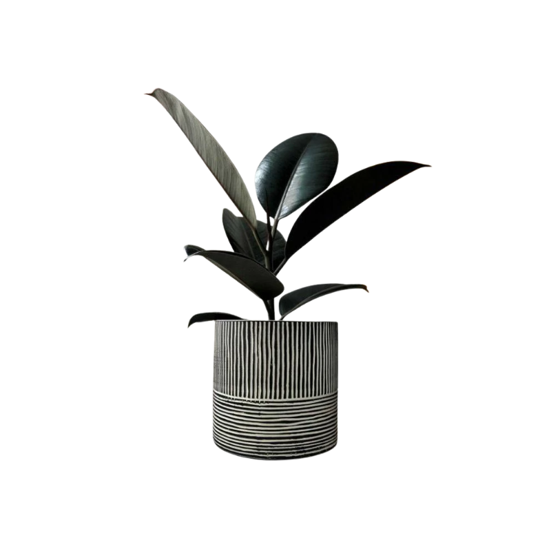 Kệ Thanh Ngang Treo - 2025-11-24T134205.857.png