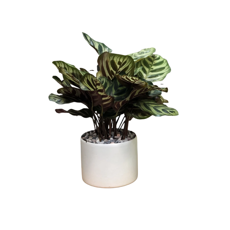 Kệ Thanh Ngang Treo - 2025-11-24T135857.686.png