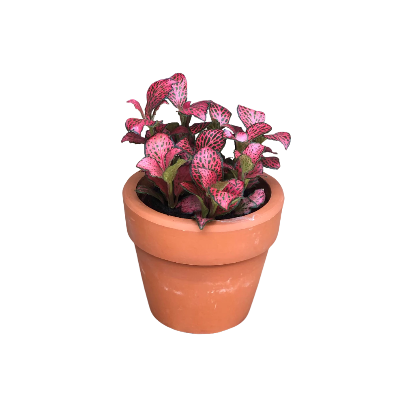 Kệ Thanh Ngang Treo (2).png