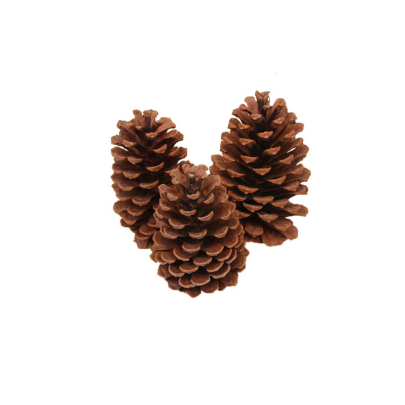 Kệ Thanh Ngang Treo (64).png