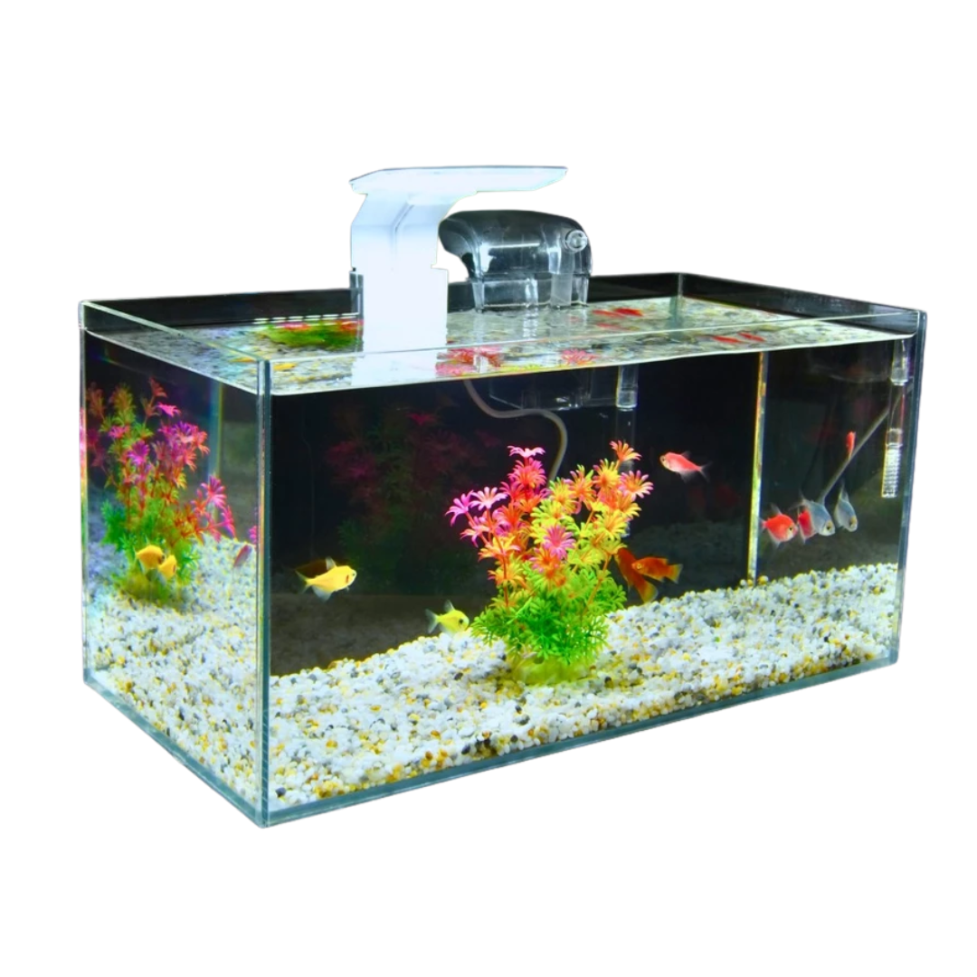 TÁCH NỀN - 2025-10-13T155156.792.png