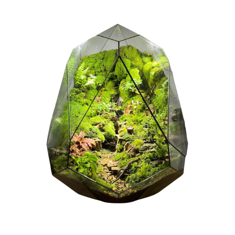 Terrarium đa giác đã setup sẵn.png