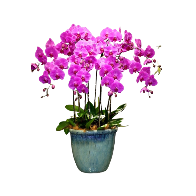 Thiết kế chưa có tên - 2025-06-13T133152.389.png