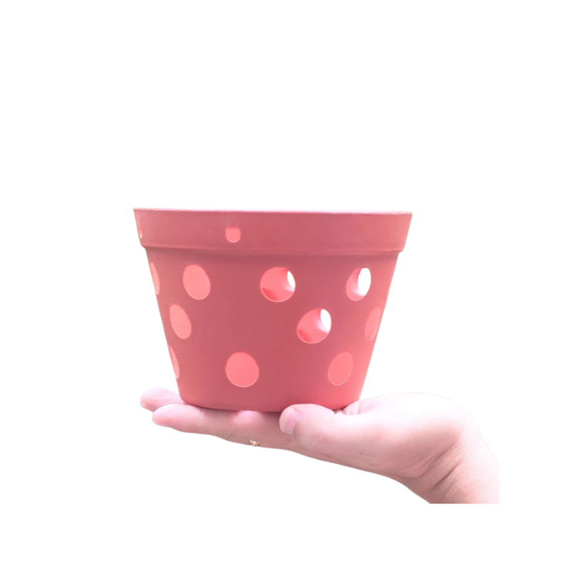 Thiết kế chưa có tên - 2025-06-13T133421.821.png