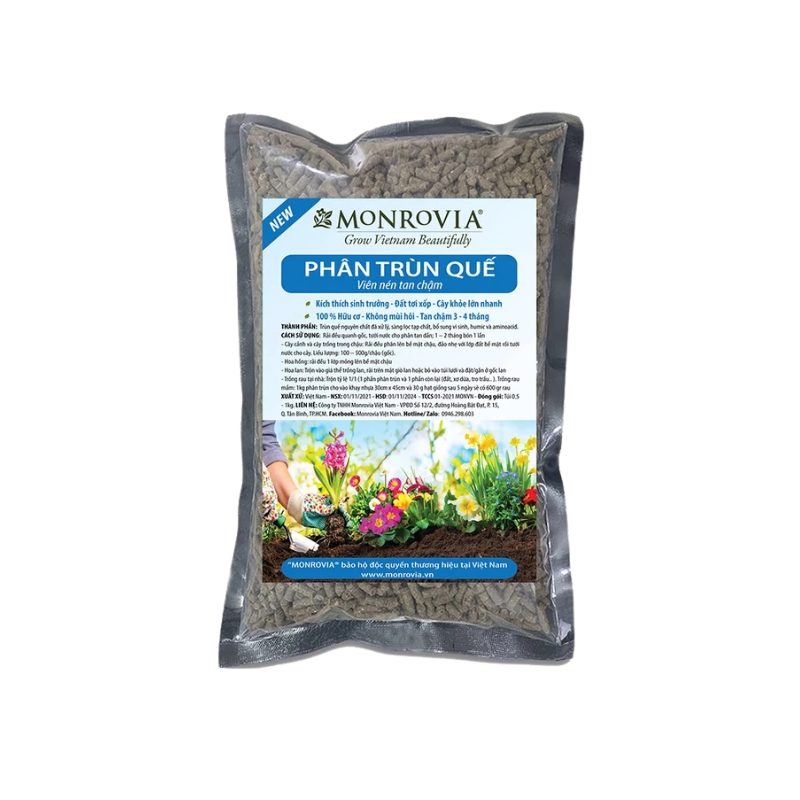 Thiết kế chưa có tên - 2025-06-13T133627.121.png