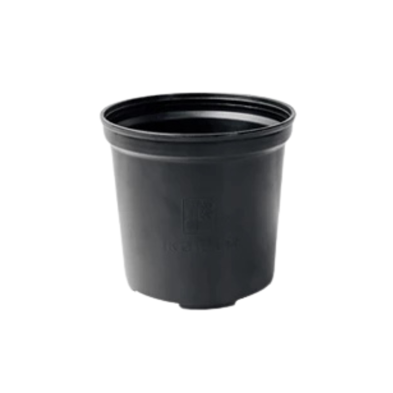 Thiết kế chưa có tên - 2025-06-13T135553.538.png