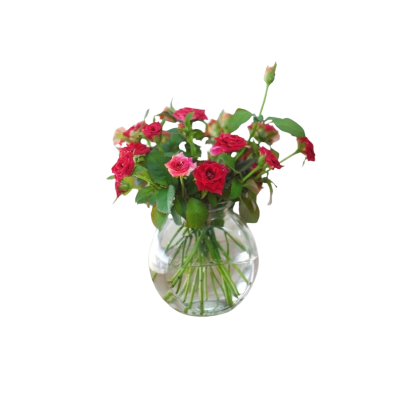 Thiết kế chưa có tên - 2025-06-13T140256.210.png