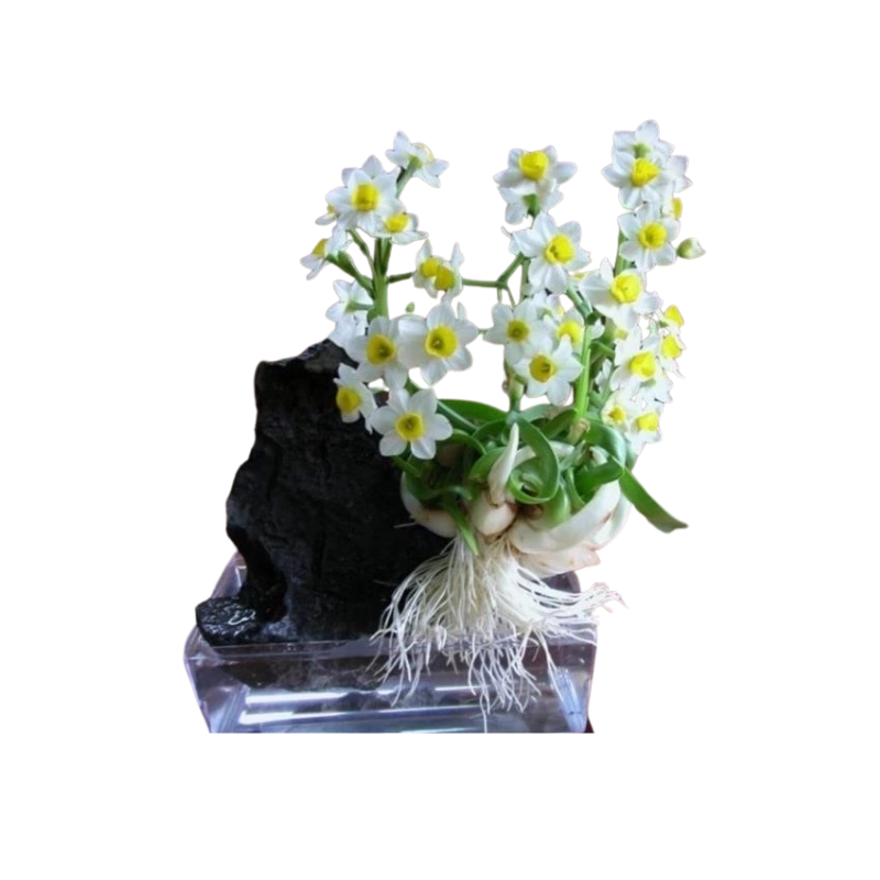 Thiết kế chưa có tên - 2025-06-13T141447.476.png