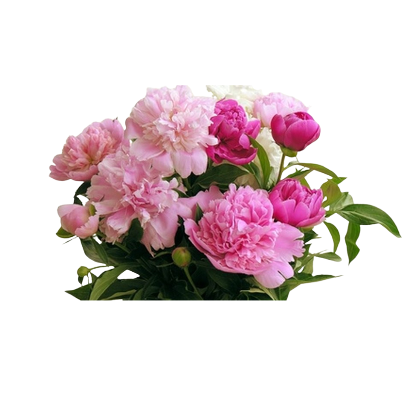 Thiết kế chưa có tên - 2025-06-13T142256.042.png