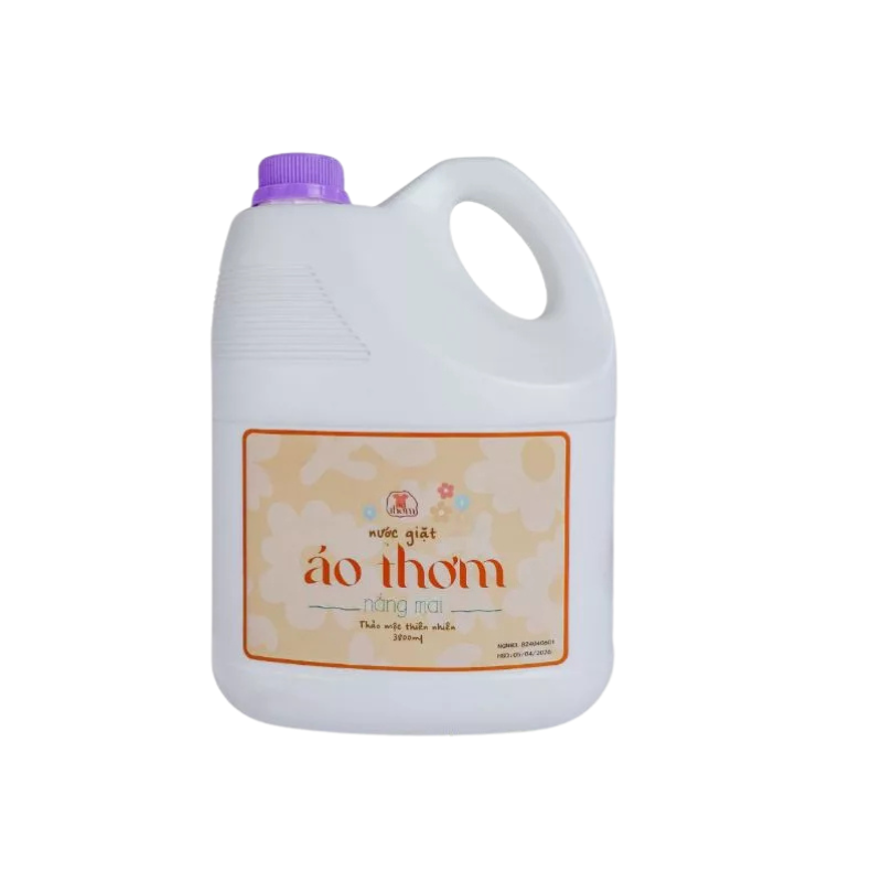 Thiết kế chưa có tên - 2025-06-19T225016.324.png