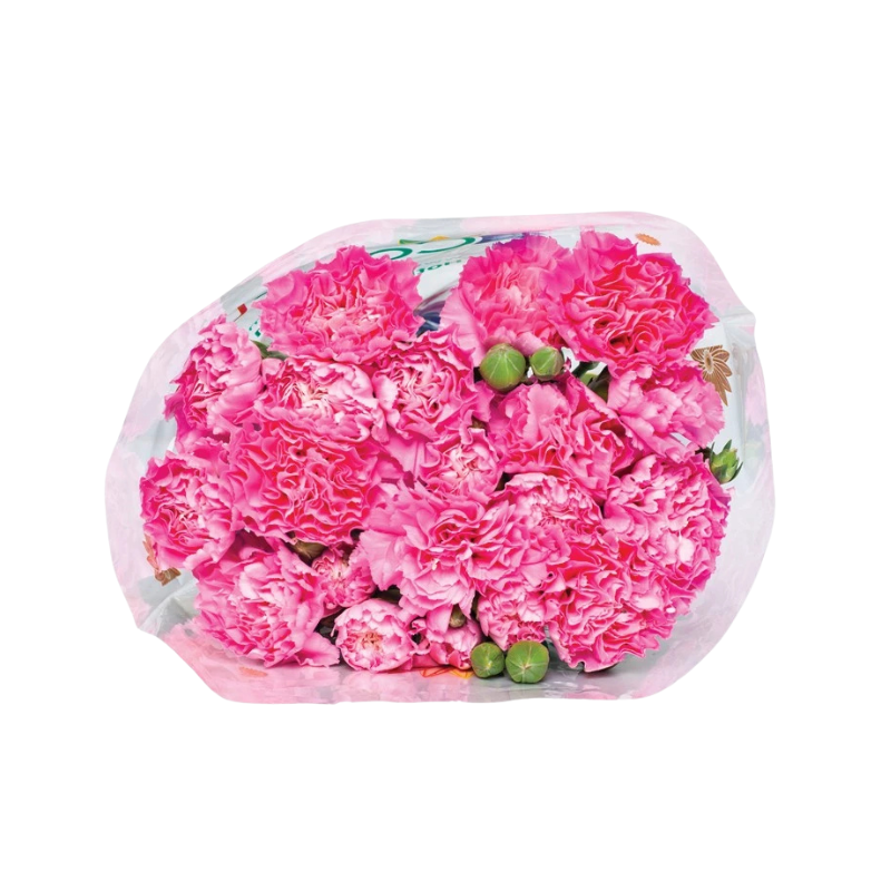 Thiết kế chưa có tên - 2025-09-22T023118.385.png