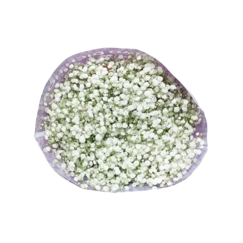 Thiết kế chưa có tên - 2025-09-22T023316.790.png