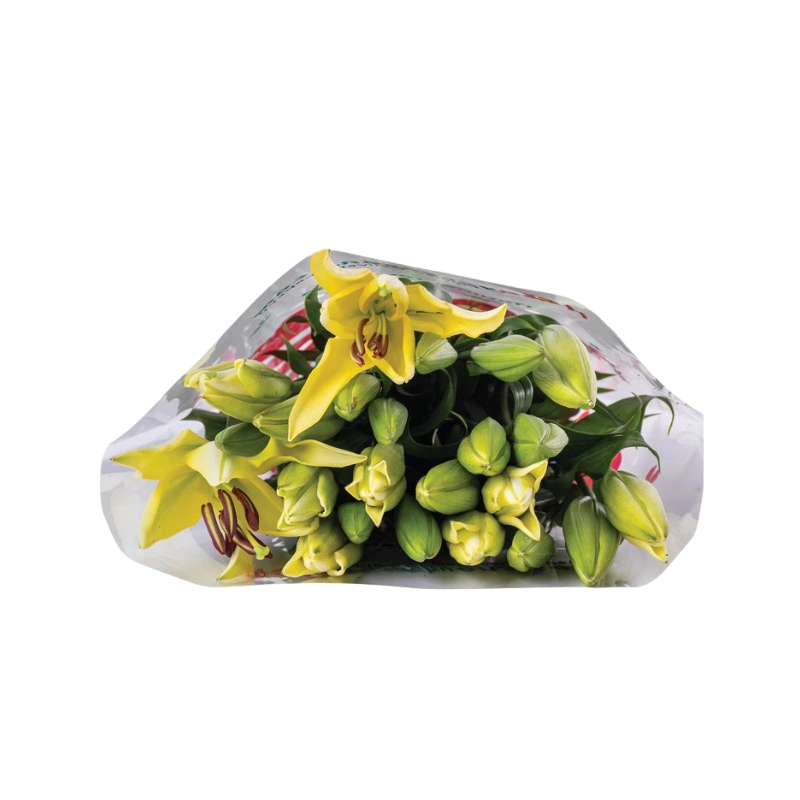 Thiết kế chưa có tên - 2025-09-22T023510.143.png