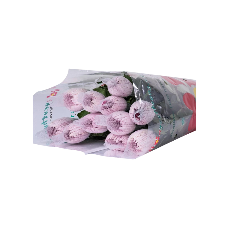 Thiết kế chưa có tên - 2025-09-22T023726.456.png