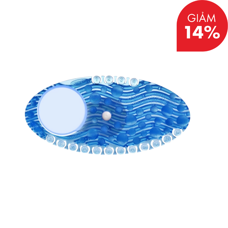 Thiết kế chưa có tên - 2025-10-07T221425.516.png