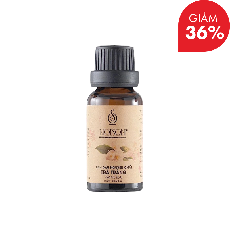 Thiết kế chưa có tên - 2025-10-07T223804.743.png