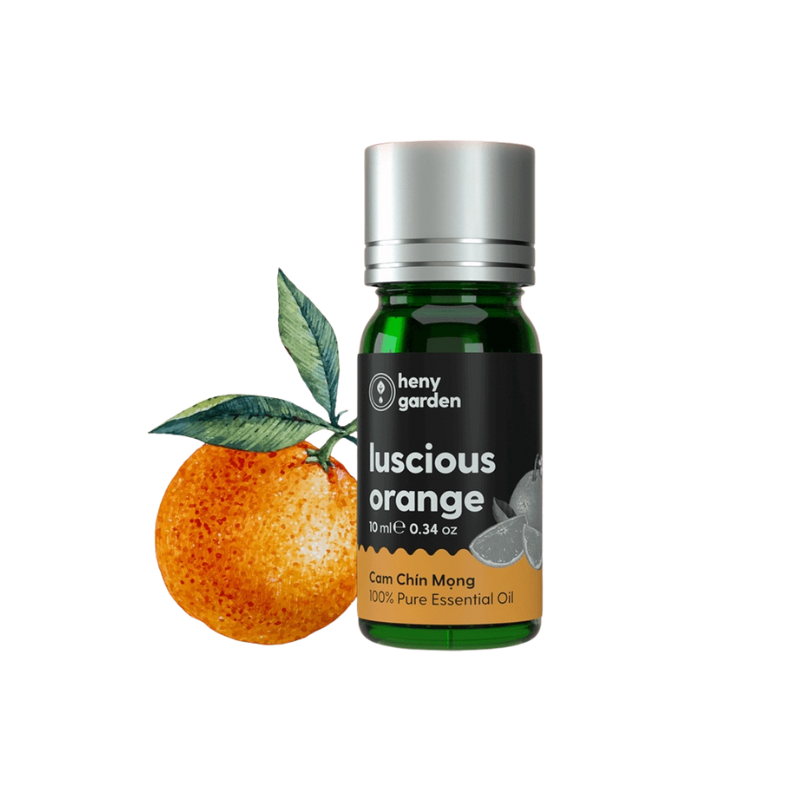 Thiết kế chưa có tên - 2025-10-19T214817.823.png