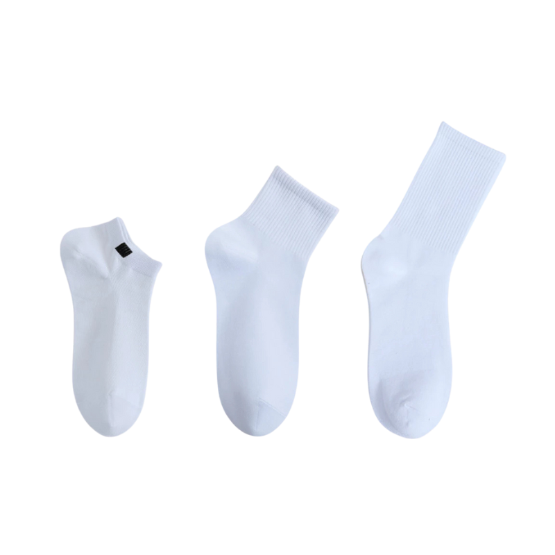 Thiết kế chưa có tên - 2025-10-24T171501.932.png