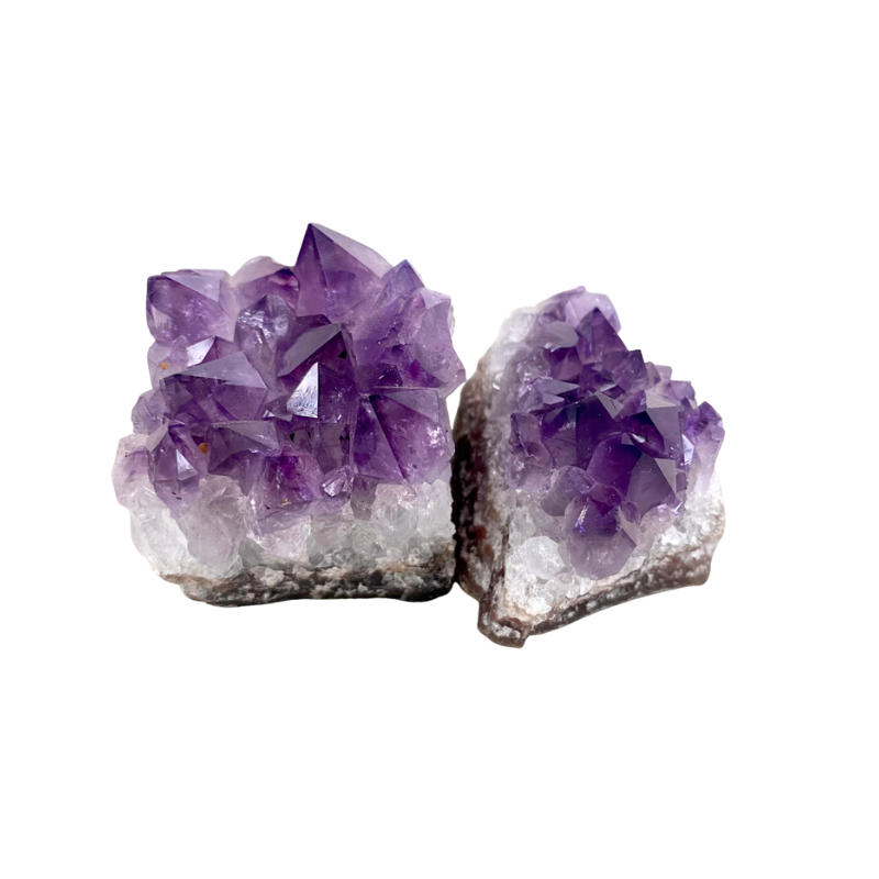 Thiết kế chưa có tên - 2025-10-30T171614.708.png