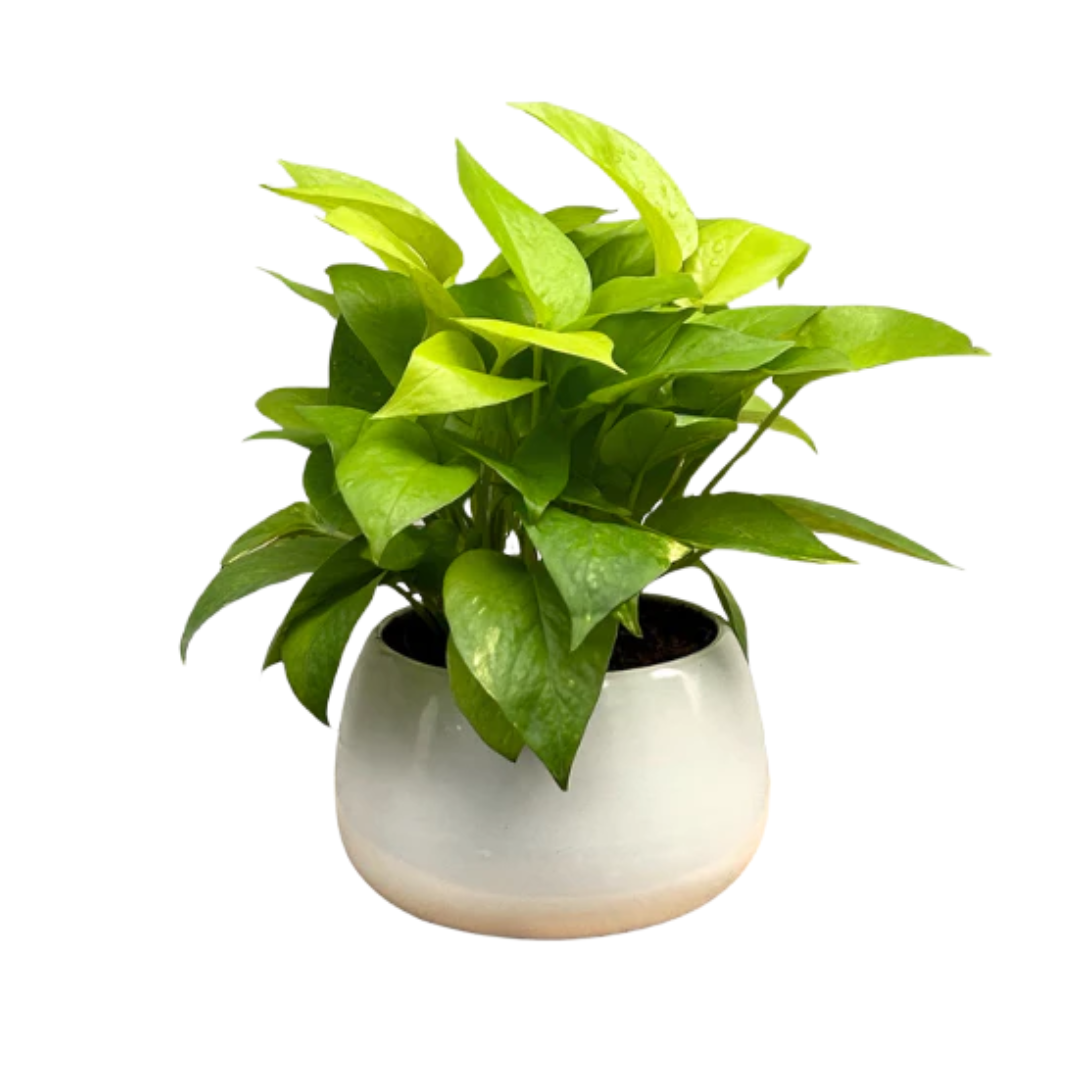 Untitled design - 2025-08-26T114138.578.png