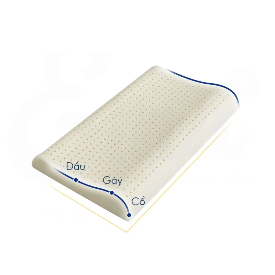 Untitled design (61).png